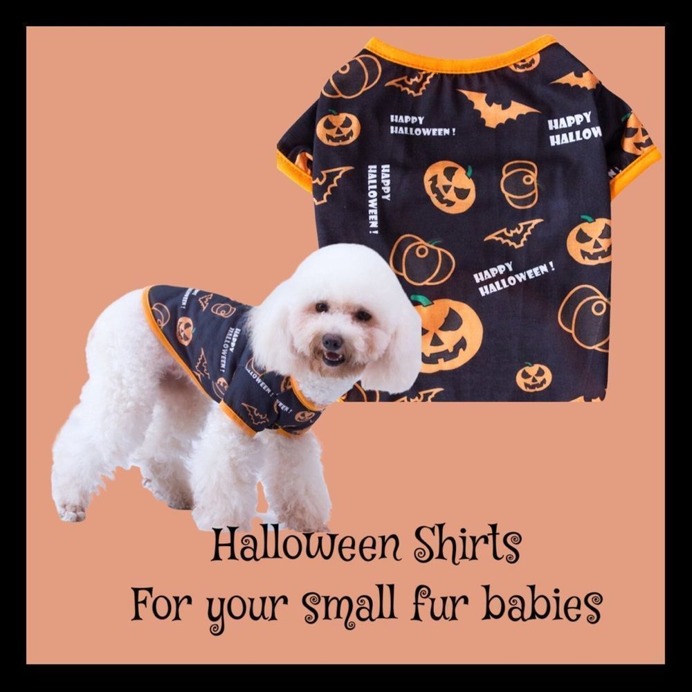 🐶 NWT, 🎃Pumpkin & Bat Dog Tees 🦇 for small fur babies